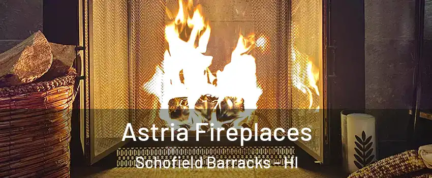  Astria Fireplaces Schofield Barracks - HI