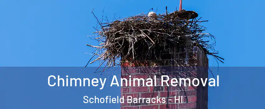  Chimney Animal Removal Schofield Barracks - HI