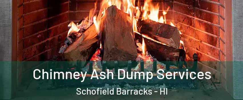 Chimney Ash Dump Services Schofield Barracks - HI