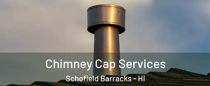  Chimney Cap Services Schofield Barracks - HI