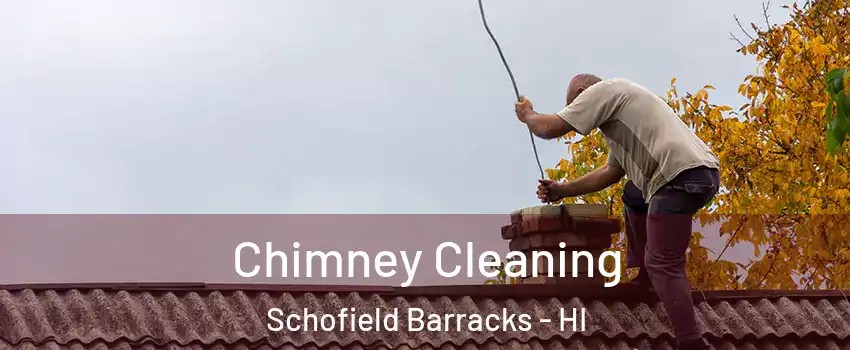  Chimney Cleaning Schofield Barracks - HI