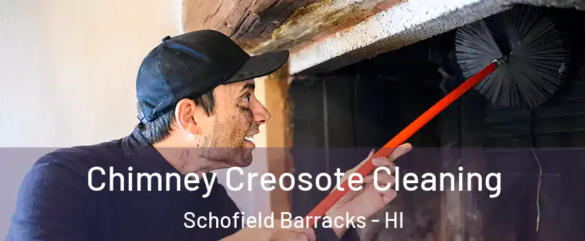  Chimney Creosote Cleaning Schofield Barracks - HI