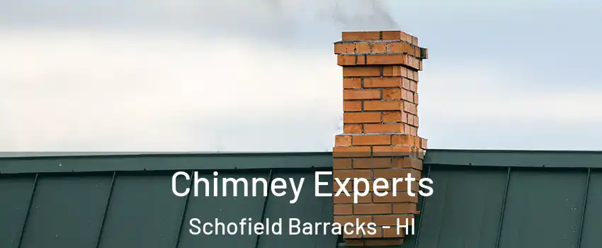  Chimney Experts Schofield Barracks - HI