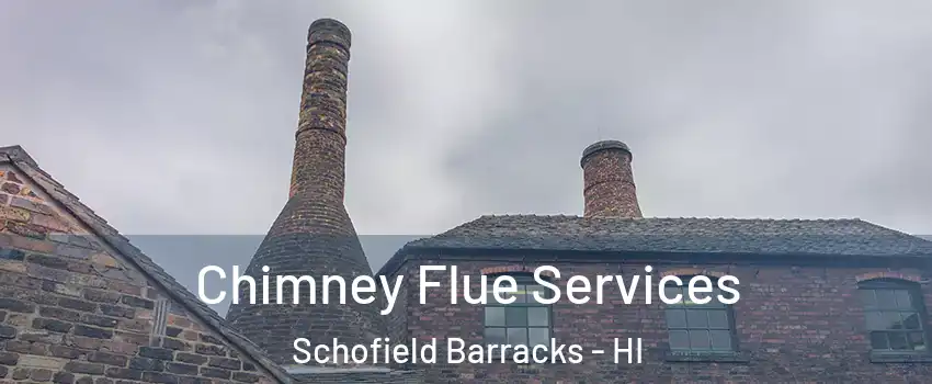  Chimney Flue Services Schofield Barracks - HI