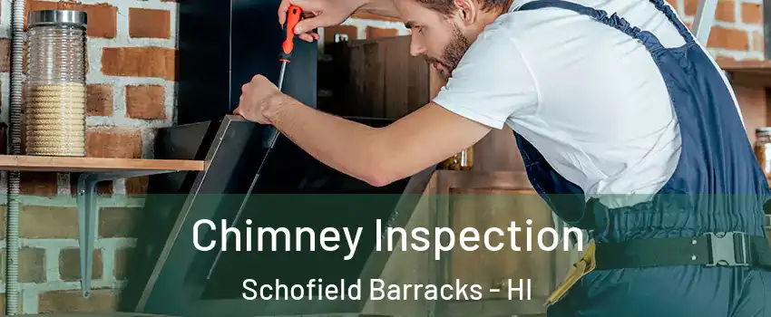  Chimney Inspection Schofield Barracks - HI