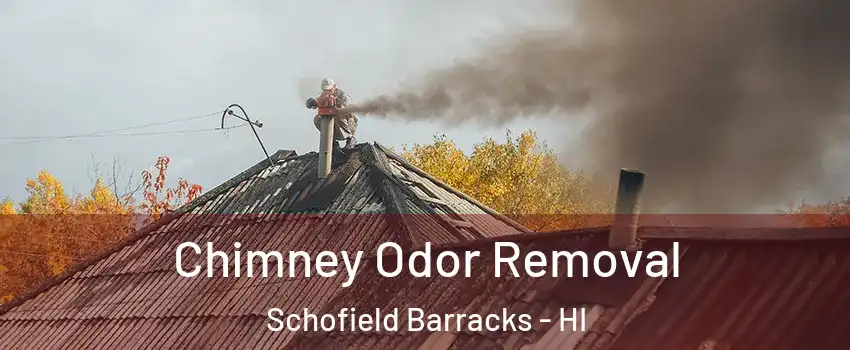 Chimney Odor Removal Schofield Barracks - HI
