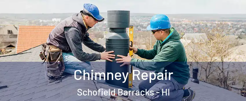  Chimney Repair Schofield Barracks - HI
