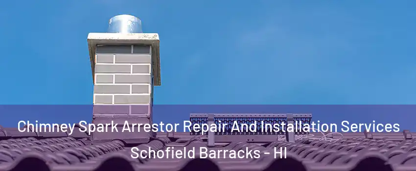  Chimney Spark Arrestor Repair And Installation Services Schofield Barracks - HI