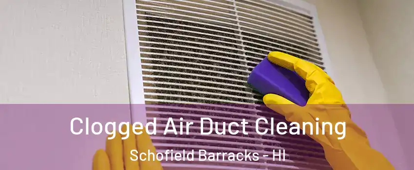  Clogged Air Duct Cleaning Schofield Barracks - HI