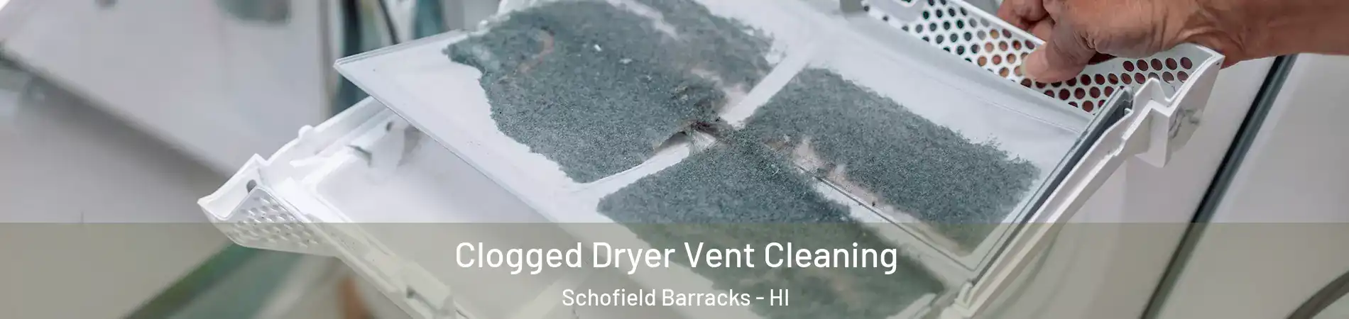  Clogged Dryer Vent Cleaning Schofield Barracks - HI
