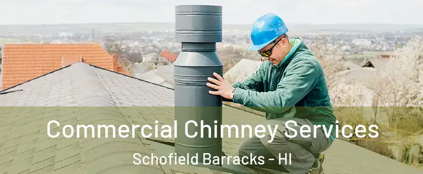  Commercial Chimney Services Schofield Barracks - HI