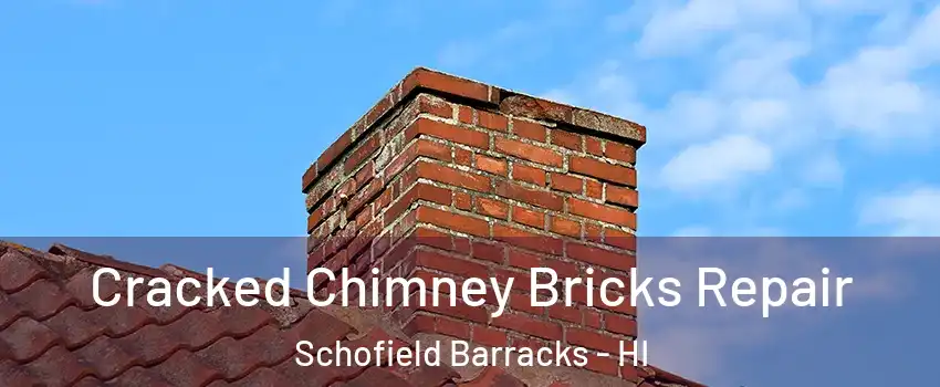  Cracked Chimney Bricks Repair Schofield Barracks - HI