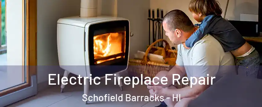  Electric Fireplace Repair Schofield Barracks - HI