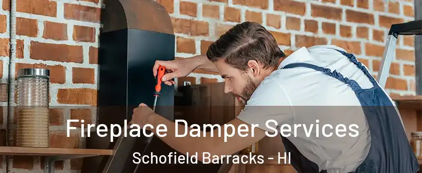 Fireplace Damper Services Schofield Barracks - HI