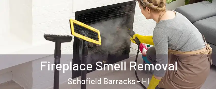  Fireplace Smell Removal Schofield Barracks - HI