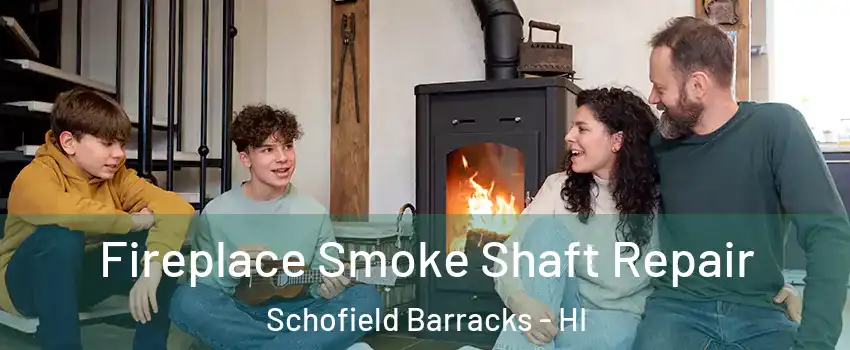  Fireplace Smoke Shaft Repair Schofield Barracks - HI