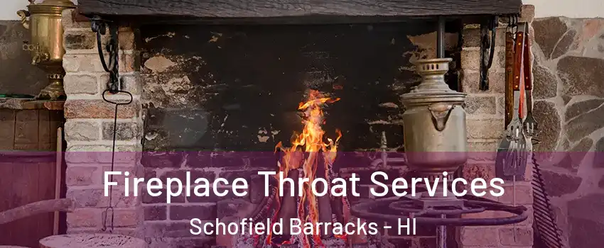  Fireplace Throat Services Schofield Barracks - HI