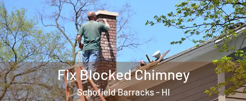  Fix Blocked Chimney Schofield Barracks - HI