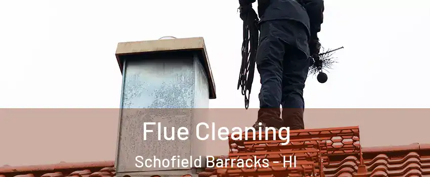  Flue Cleaning Schofield Barracks - HI