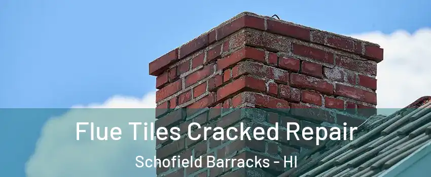  Flue Tiles Cracked Repair Schofield Barracks - HI