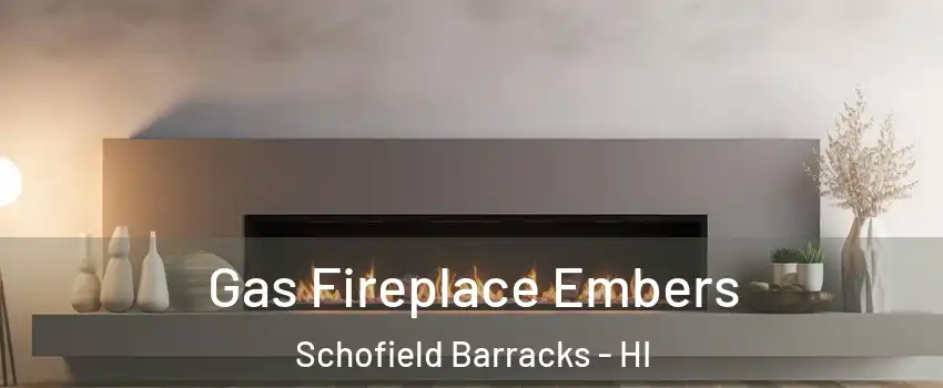  Gas Fireplace Embers Schofield Barracks - HI
