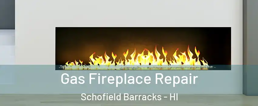  Gas Fireplace Repair Schofield Barracks - HI
