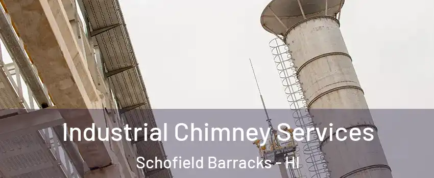  Industrial Chimney Services Schofield Barracks - HI