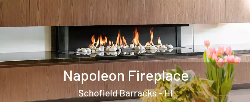 Napoleon Fireplace Schofield Barracks - HI