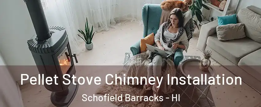  Pellet Stove Chimney Installation Schofield Barracks - HI