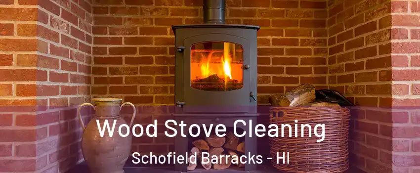  Wood Stove Cleaning Schofield Barracks - HI